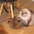 Katzenkratzspielzeug aus braunem Wellkarton, neben einem Stuhlbein. Katze interagiert mit dem Spielzeug auf Holzboden.