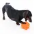 Hond speelt met oranje pluchen speelgoed met groene accenten.