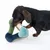 Chien teckel tenant dans sa gueule un jouet en peluche multicolore en forme de triangle, composé de parties vertes, bleues et beige.