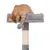 Cat tree with grey lying surface and sisal post, with an orange cat playing with a hanging ball.