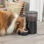 Automatische voerdispenser met zwart design, gevuld met droogvoer. Hond eet uit de geïntegreerde voerschaal.