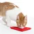 Rode likmat voor katten, getoond door een rood-witte kat tijdens het eten. Mat met gestructureerd oppervlak voor langzaam voeren.