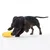 Cane che gioca con un gioco giallo a forma di pannocchia di mais su sfondo bianco.