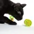 Black cat playing with a green-yellow toy wheel and another colourful cat toy in the background.