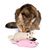 zooplus Basics Katzenspielzeug-Set Kitty mit Katzenminze
