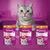 Drie zakjes Whiskas kattensnacks: Vitamin E-Xtra mit Huhn 50g, Anti-Hairball mit Huhn 50g, Dentabites mit Huhn 40g. Op elk zakje staat een kat en de tekst 'minder plastic* nieuwe verpakking'.