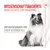 Royal Canin Skin & Coat Adult Supplement žvečilni prigrizki