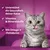 Unterstützt die Gesundheit deiner Katze. Vitamine & Mineralstoffe. Mit Omega-3-Fettsäuren.