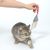 Hand hält ein Katzenspielzeug in Form eines Hauses mit rotem Band, graue Katze zeigt Interesse und greift danach.