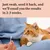Just swab, send it back, and we’ll email you the results in 2-3 weeks. Person holding swab near a cat.