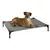 Dog lying on an elevated grey dog bed with metal frame and fabric surface.