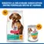 Hill's Science Plan Perfect Weight Adulte 1+ Croquettes et nourriture humide au poulet, combinaison de nourriture sèche et humide pour chiens illustrée.