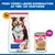 Hill's Science Plan Mature Adult 7+ Medium med kylling