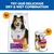 Hill's Science Plan Sensitive Stomach & Skin Adult 1 + Medium with Chicken