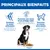 Hill's Science Plan Adult 1-5 Large poulet pour chien