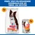 Hill's Science Plan Perfect Digestion Adult 1+ Medium med kylling & brun ris