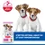 Hill`s Science Plan Puppy Small & Mini Lam & Ris