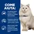 Hill's Prescription Diet c/d Multicare Stress Urinary Care con Pesce oceanico
