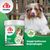 8in1 Vitality Deter Daily Supplement, Behavioral Aid. Stoppt Kotfressen (Koprophagie). Dose mit 100 Tabletten und Hund im Hintergrund.