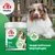 8in1 Vitality Deter Daily Supplement, Behavioral Aid. Stoppt Kotfressen (Koprophagie). Dose mit 100 Tabletten und Hund im Hintergrund.