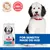 Hill's Science Plan Hypoallergenic Adult Large med laks