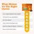Zesty Paws Probiotic Chews Digestion - Pumpkin - dog supplements - 50 Chews Zesty Paws Probiotic Chews Digestion - Pumpkin - dog supplements - 50 Chews