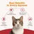 Zesty Paws Cat Urinary Care Paste - 75g Zesty Paws Cat Urinary Care Paste - 75g