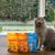 Edgard & Cooper Fourrés pour chat