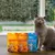 Edgard Cooper Fourrés kattensnacks in gele, oranje en blauwe verpakking. Kat zit ernaast en likt zijn lippen.