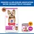 Hill's Science Plan Adulte 1-6 Small & Mini jusqu'à 10 kg avec agneau & riz, boîte avec poulet. Texte : Essayez la délicieuse association entre croquettes et mousses. Hill's Science Plan Adulte 1-6 Small & Mini jusqu'à 10 kg avec agneau & riz, boîte avec poulet. Texte : Essayez la délicieuse association entre croquettes et mousses.