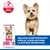 Hill's Science Plan Adulte 1-6 Small & Mini, ActivBiome+ Multi Benefit, mélange d'antioxydants pour soutenir le système immunitaire. Hill's Science Plan Adulte 1-6 Small & Mini, ActivBiome+ Multi Benefit, mélange d'antioxydants pour soutenir le système immunitaire.