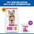 Hill's Science Plan Adult Small & Mini Mousse