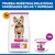 Hill's Science Plan Adult Small & Mini Mousse para perros