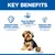 Hill's Science Plan Sensitive Stomach & Skin Small & Mini Mousse Hill's Science Plan Sensitive Stomach & Skin Small & Mini Mousse