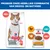 Hill's Science Plan Adult Sterilised saumon pour chat