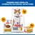 Hill's Science Plan Sterilised Cat Adult droog- en natvoer met kip, combinatie van zakje, blik en voederzak, productafbeeldingen met kip-symbool. Hill's Science Plan Sterilised Cat Adult droog- en natvoer met kip, combinatie van zakje, blik en voederzak, productafbeeldingen met kip-symbool.
