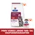 Hill's Prescription Diet i/d Digestive Care Kitten Chicken