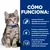 Hill's Prescription Diet i/d Digestive Care Kitten pollo
