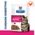Hill's Prescription Diet Gastrointestinal Biome comida para gatos, ActiveBiome+ Digestão, frango, Cuidado Digestivo Hill's Prescription Diet Gastrointestinal Biome comida para gatos, ActiveBiome+ Digestão, frango, Cuidado Digestivo
