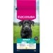 Eukanuba Premium Nutrition Adult Large & Giant Breed kuracie - 15 kg