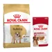 Royal Canin Breed Dry Dog Food + Royal Canin Wet Dog Food - 15% Off! * - Bulldog Adult (12kg) + Medium Adult in Gravy (10 x 140g)