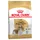 Cavalier King Charles Adult  (2 x 7,5 кг)