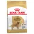 2 x 12 kg Golden Retriever Adult