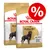 Royal Canin Adult Rottweiler torrfoder för hundar från 18 månader, erbjudande med röd procentsymbol.