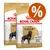 2 sacos de pienso Royal Canin Adult Rottweiler, imagen del perro en el envase y símbolo de porcentaje en círculo naranja indicando oferta o descuento visible.