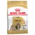 Royal Canin Adult Shih Tzu, över 10 månader. Skräddarsydda foderbitar för frisk hud, pälsvård och tandhälsa.