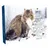 Calendario de Adviento 2025 Happy Cat snacks para gatos - 1 unidad