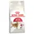 Royal Canin Regular Fit 32, krmivo pro dospělé kočky. Optimální živinový profil, podporuje zdravou hmotnost a srst. Balení se zipem pro čerstvost.