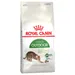 Royal Canin Feline -säästöpakkaus - 2 x 10 kg Active Life Outdoor