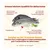 Almo Nature HFC Longevity Sterilized brancin i orada